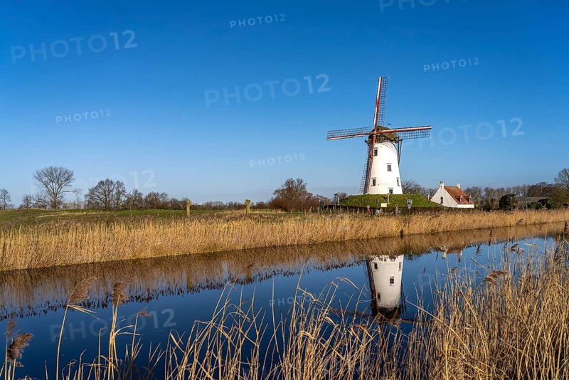 Windmill de Schellemolen in Damme, West Flanders, Belgium, Europe