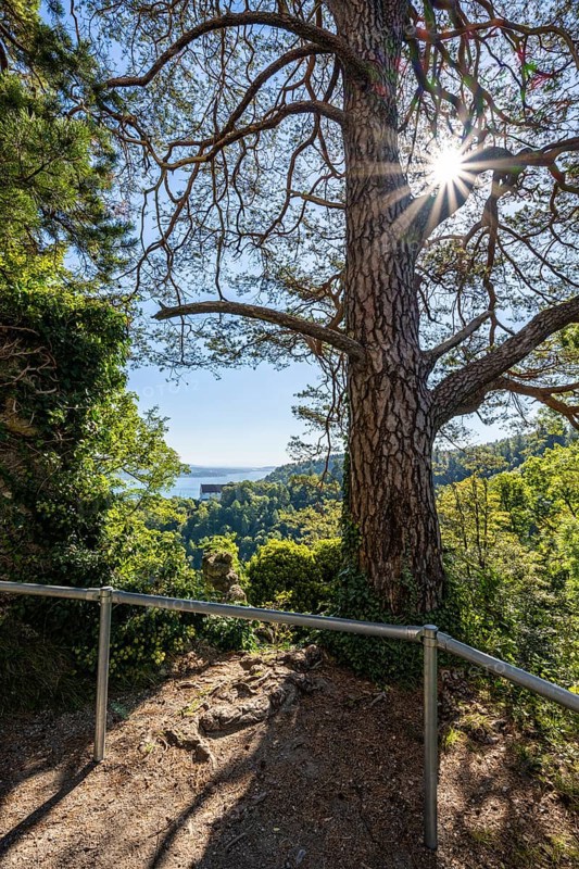 View from the Altbodman castle ruins over the Bodanrück to Lake Constance, Bodman-Ludwigshafen, Constance district, Baden-Württemberg, Germany, Europe