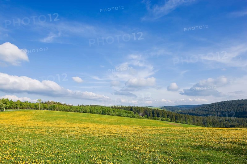 Landscape near Frauenstein
