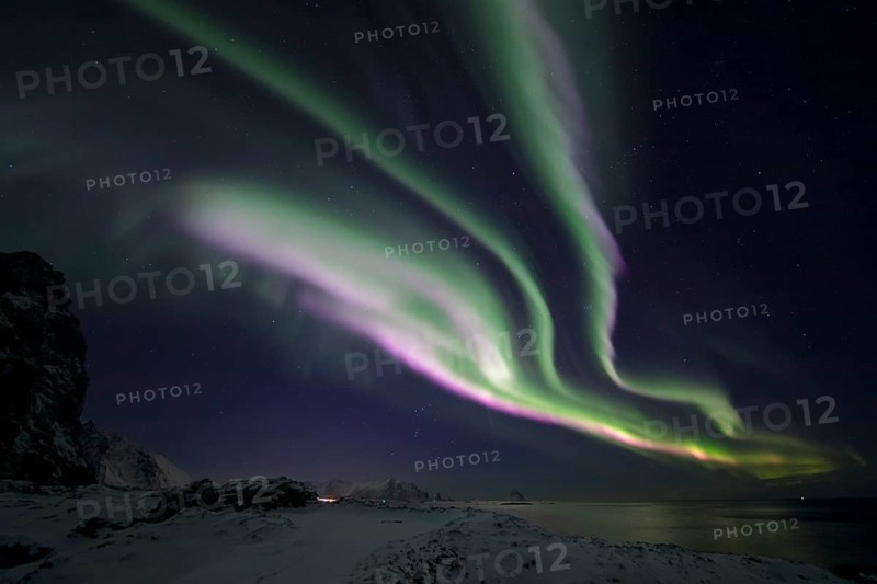 Northern Lights (Aurora borealis) in green and rare pink over the bird cliff of Bleik, Vesterålen, Norway, Europe