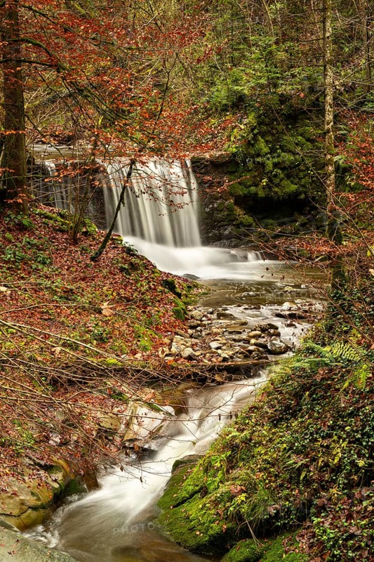 The Hausbachklamm gorge in autumn. The Hausbach with a waterfall and trees in autumn leaves. Long exposure. Weiler-Simmerberg, West Allgäu, Allgäu, Bavaria, Germany, Europe