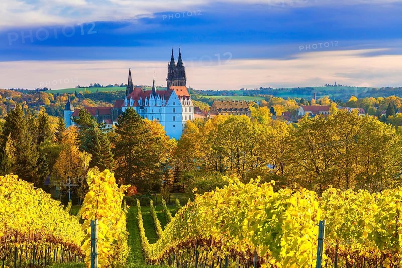 View of Meissen from the Proschwitz Estate