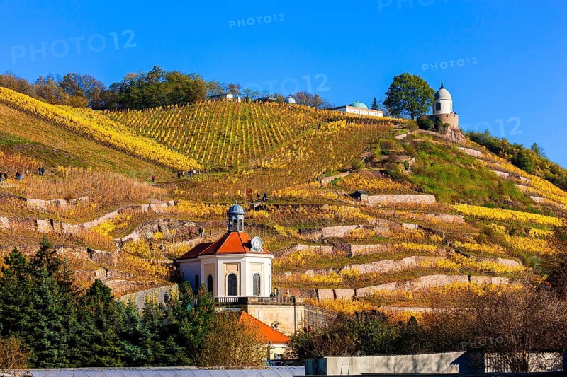 Wackerbarth Castle or Wackerbarths Ruh is a Baroque castle surrounded by vineyards in the Niederlößnitz district of Radebeul on the road to Meißen, which serves as the seat of the Saxon State Winery. The winery belongs to the Lößnitz vineyard and is located in the Radebeuler Johannisberg vineyard