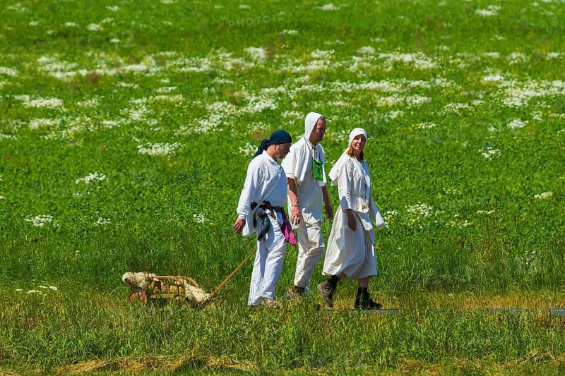 Settlers' train in Central Saxony