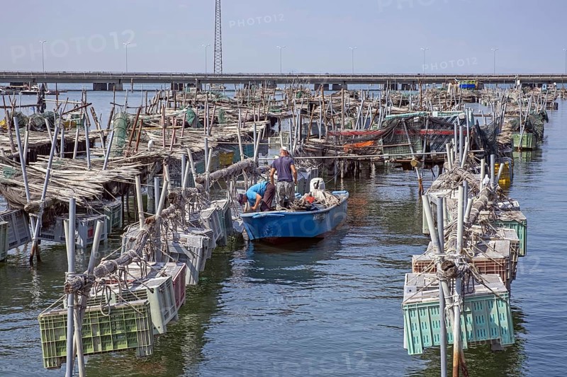 Fishermen in fishing boat in harbour at the Po Delta south of Chioggia, Veneto region of northern Italy
