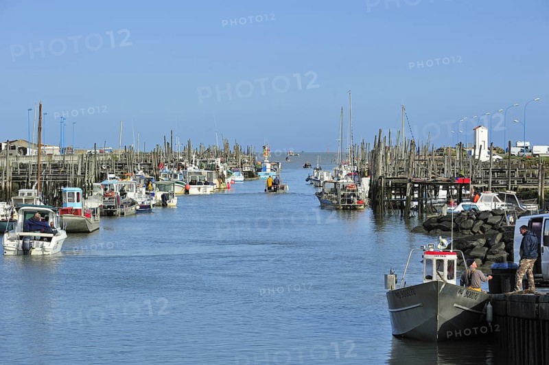 Fishing boats and oyster farming boats in the harbour Port du Bec near Beauvoir-sur-mer, La Vendée, Pays de la Loire, France, Europe