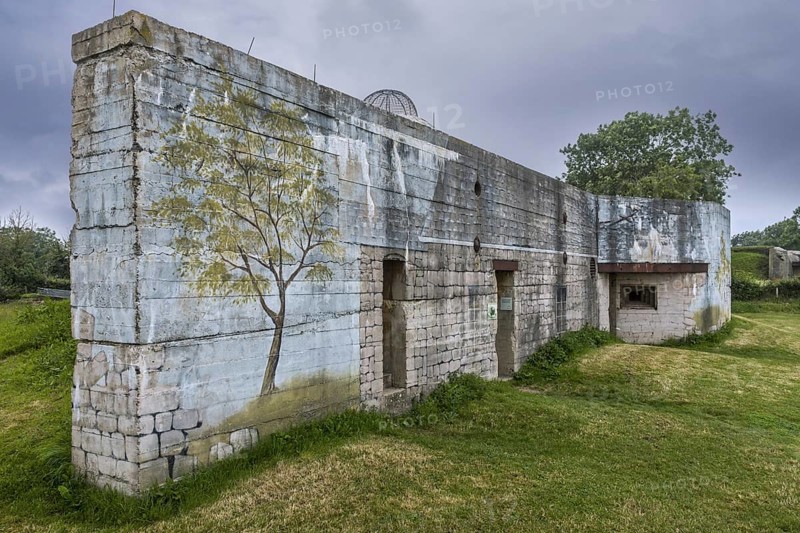 Camouflage painting on rear of gun casemate, artillery bunker of WWII Batterie d'Azeville Battery, part of German Atlantic Wall, Normandy, France, Europe