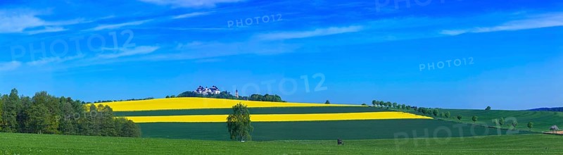 Augustusburg Castle