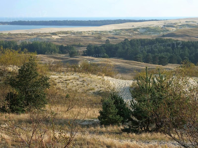 The Parnidis Dune in the Curonian Spit National Park is one of the largest shifting sand dunes in Europe. In the background the Curonian Lagoon, Parnidis Dune, Nida, Curonian Spit, Lithuania, Europe