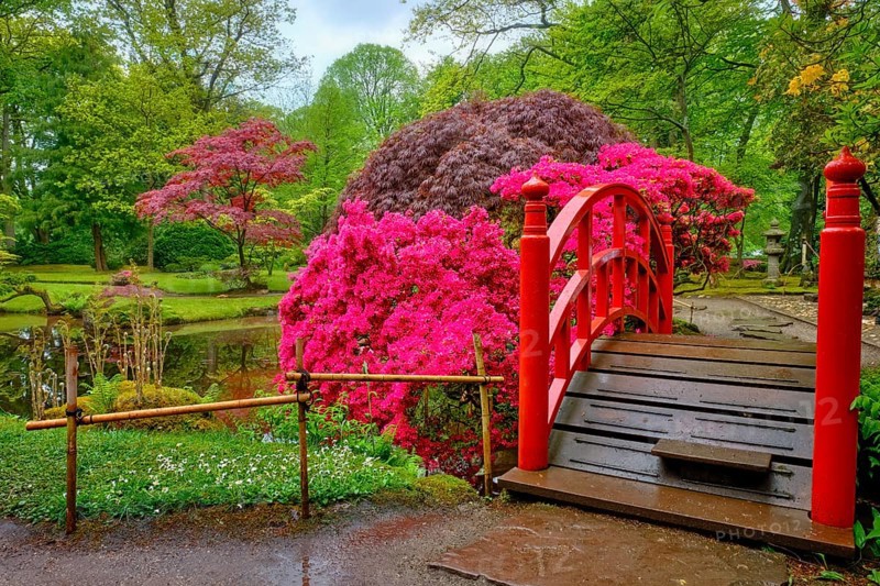 Small bridge in Japanese garden, Park Clingendael, The Hague, Netherlands