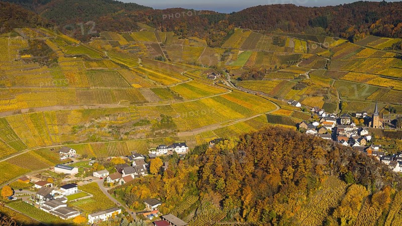 Vineyards in autumn, Mayschoß with parish church, red wine growing region Ahrtal, red wine of the Pinot Noir and Portugieser grape is grown here, Eifel, Rhineland-Palatinate, Germany, Europe
