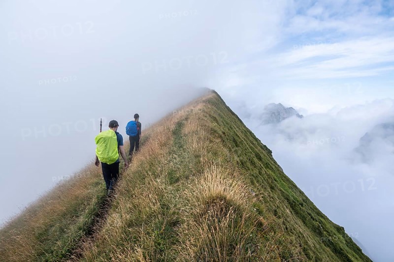 Climbers on a narrow ridge, steep grassy mountains in the fog, ascent to Marwes, Säntis, Appenzell Ausserrhoden, Appenzell Alps, Switzerland, Europe