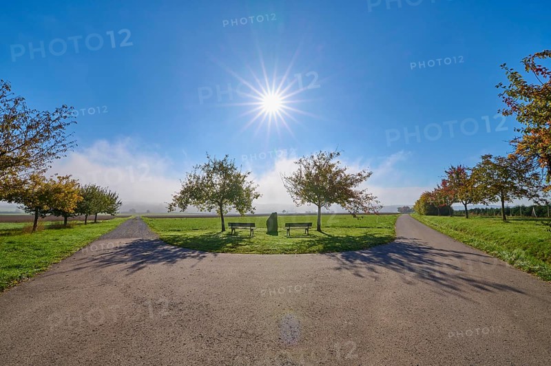 Fork in the road, field landscape, fruit trees, bench, sun, sky, autumn, beeches, Odenwald, Baden-Württemberg, Germany, Europe