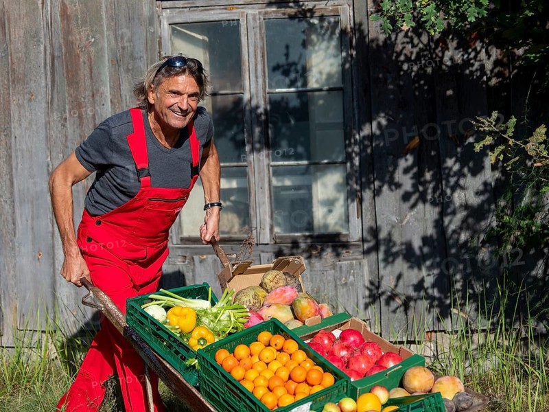 Man with red work trousers pushing wheelbarrow full of different fruits in front of old shed, healthy eating, Germany, Europe