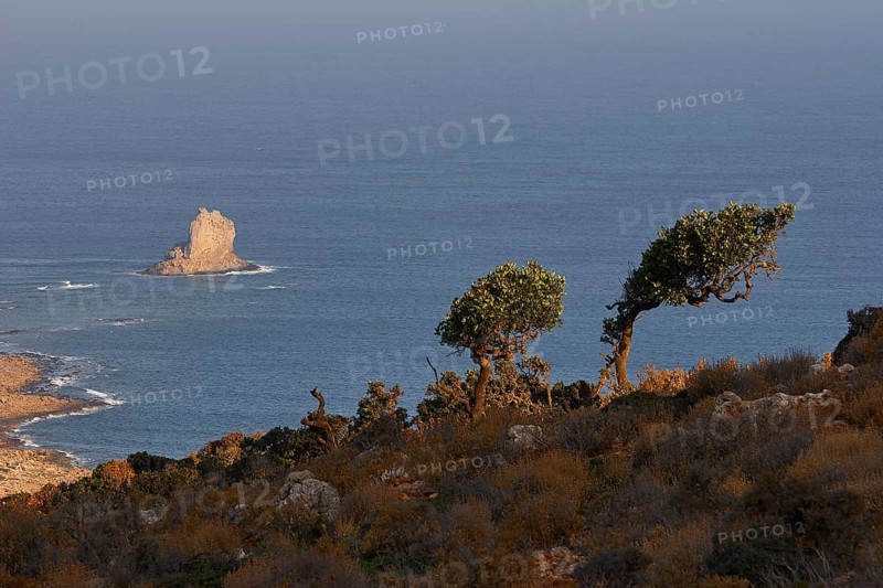Morning light, bushes bent by the wind, rocky needle in the morning light, blue sea, Machia, Gramvoussa peninsula, Pirate Bay, Balos, Tigani, West Crete, island of Crete, Greece, Europe