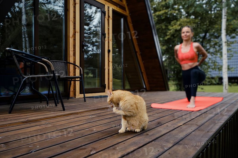 Cute cat washes up on wooden terrace where a woman doing stretching exercises (focus on foreground)