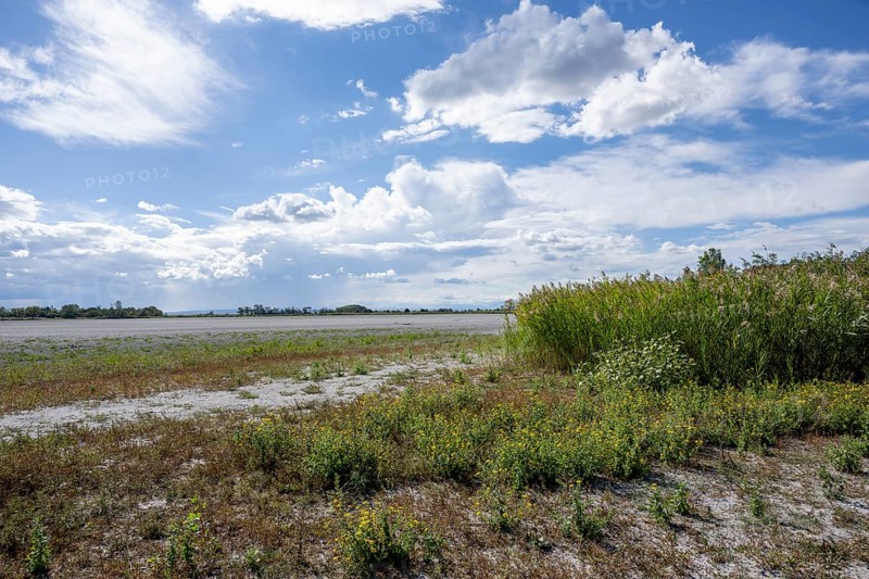 Heavily dried-up Zicksee, Lake Neusiedl-Seewinkel National Park, Burgenland, Austria, Europe