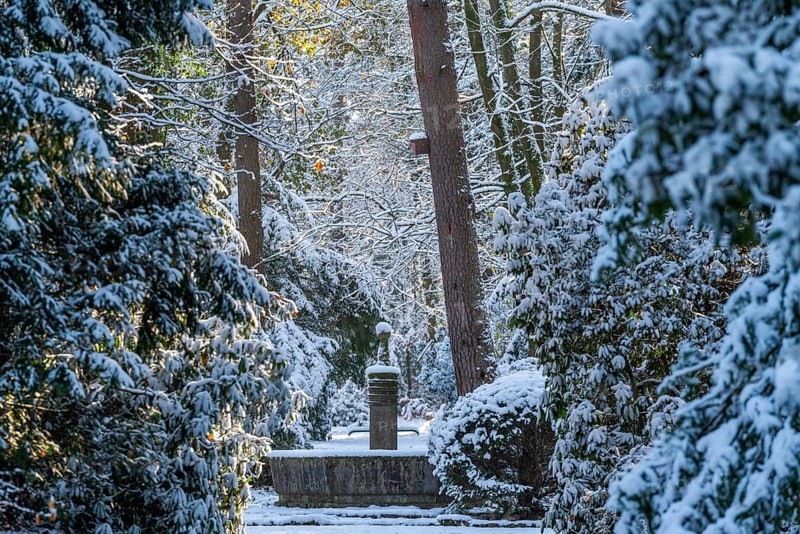 Fountain and rhododendrons in the snow, south-west churchyard, historic cemetery in Stahnsdorf, Potsdam-Mittelmark, Brandenburg, Germany, Europe