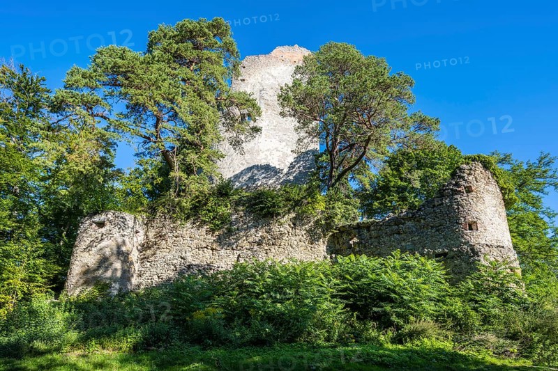 The Altbodman castle ruins on the Bodanrück, Bodman-Ludwigshafen, Constance district, Baden-Württemberg, Germany, Europe