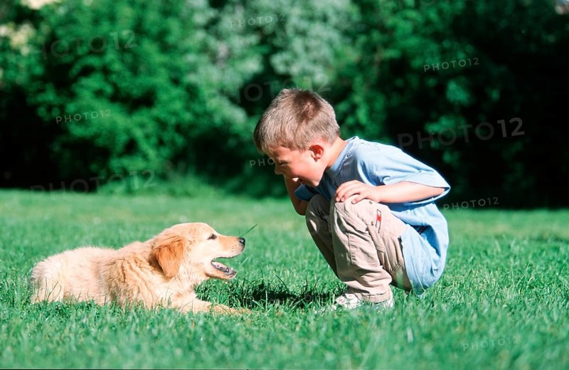 Boy and Mixed Breed Dog, boy and mixed breed dog, mammals, animals, domestic dog, pet, pet, human &amp; animal, human &amp; animal, people, people, children, children, outside, outdoor, side, side, meadow, meadow, cross