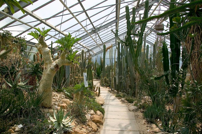 Botanical Garden