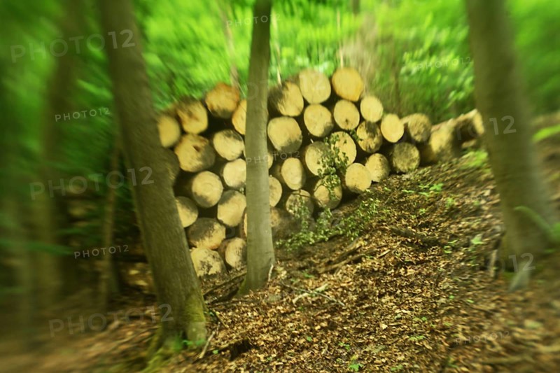 Forest damage in the Sauerland region has caused about 40 % of the spruce stand, especially in monocultures. The picture shows forest damage in May 2020, Germany, Europe