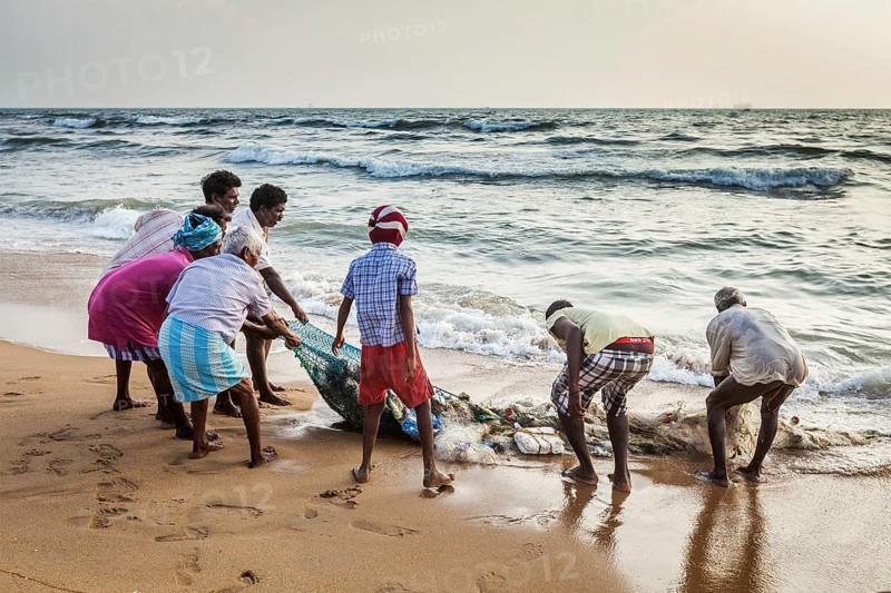 CHENNAI, INDIA, FEBRUARY 10, 2013: Indian fishermen dragging fishing net with their catch from sea on Marina Beach, Chennai, Tamil Nadu
