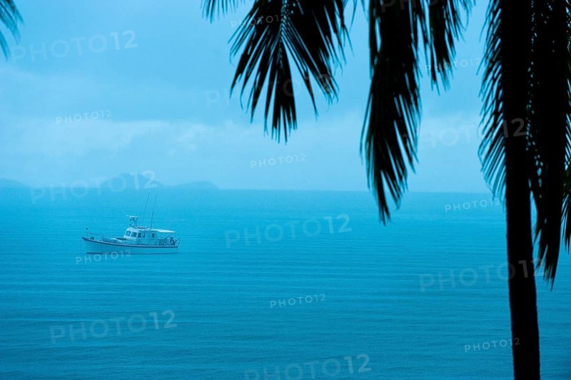 Tropical rain, tropical rain, rainy season, palm, storm, weather, sea, boat, calm, climate, Australia, Oceania