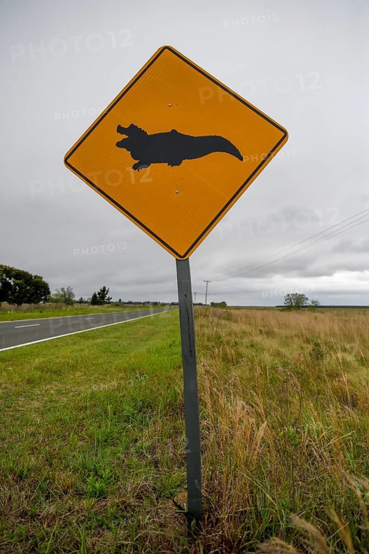 Sign Beware caimans, near Loreto, Esteros del Iberá, Province of Corrientes, Argentina, South America