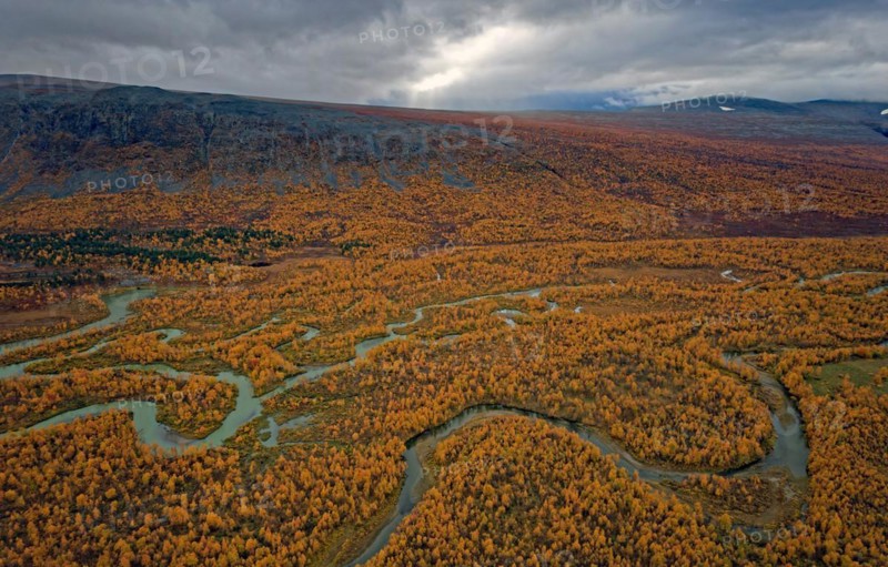 Drone shot, view of the valley Ladtjovagge with the meandering river Ladtjojakka, birch forests, autumn, intense colouring, Nikkaluokta, Kiruna, Gällivare, Norrbottens län, Lapland, Northern Sweden, Sweden, Europe