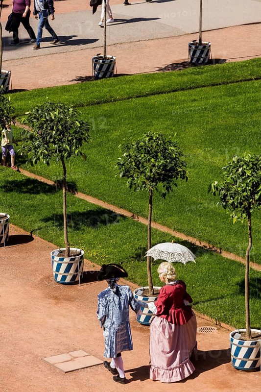 Return of the oranges from their winter quarters to the Dresden Zwinger