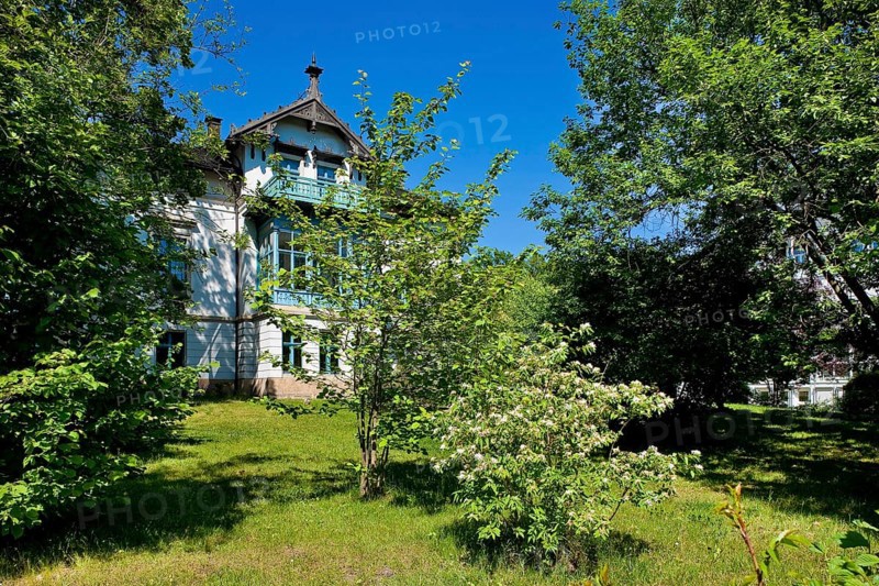 Villas in Dresden Blasewitz