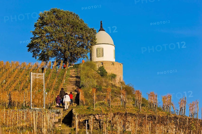 Wackerbarth Castle or Wackerbarths Ruh is a Baroque castle surrounded by vineyards in the Niederlößnitz district of Radebeul on the road to Meißen, which serves as the seat of the Saxon State Winery. The winery belongs to the Lößnitz vineyard and is located in the Radebeuler Johannisberg vineyard