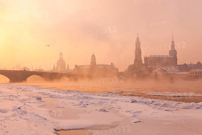 Dresden morning fog over the Elbe