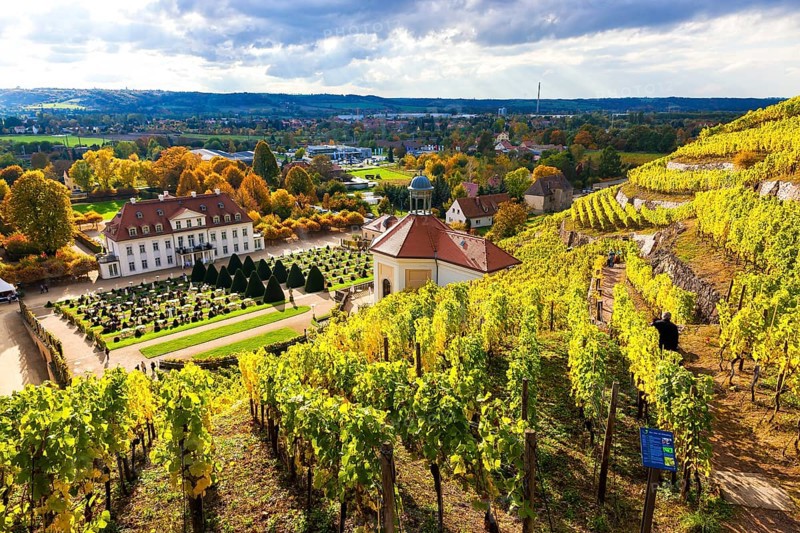Wackerbarth Castle or Wackerbarths Ruh is a Baroque castle surrounded by vineyards in the Niederlößnitz district of Radebeul on the road to Meißen, which serves as the seat of the Saxon State Winery. The winery belongs to the Lößnitz vineyard and is located in the Radebeuler Johannisberg vineyard
