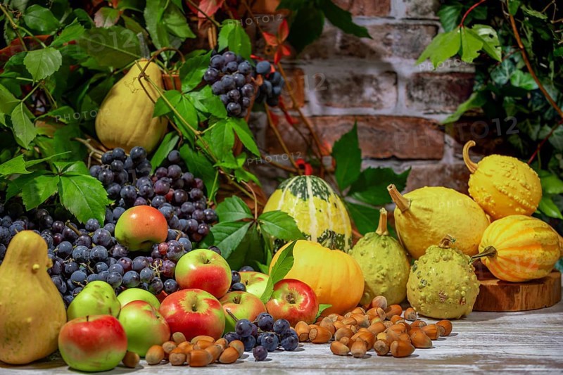 Autumnal Still Life with Blue Burgundy Grapes, Apples, Pumpkins and Hazelnuts in Front of a Brick Wall with Leaves