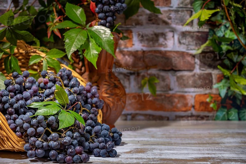 Blue burgundy grapes in and next to basket with wine jug in front of brick wall with leaves, copying room