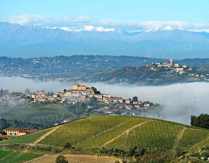 Wisps of mist pervade the hilly landscape of the Langhe wine-growing region in autumn with the villages of Roddi, centre, and Cinzano, back right, Diano d'Alba, Piedmont, Italy, Europe