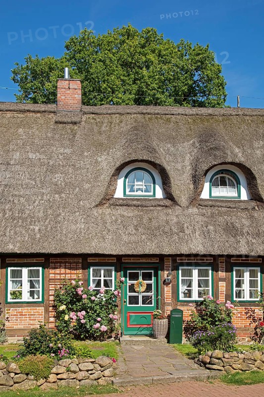 Thatched-roof house, Egestorf, Lower Saxony, Germany, Europe