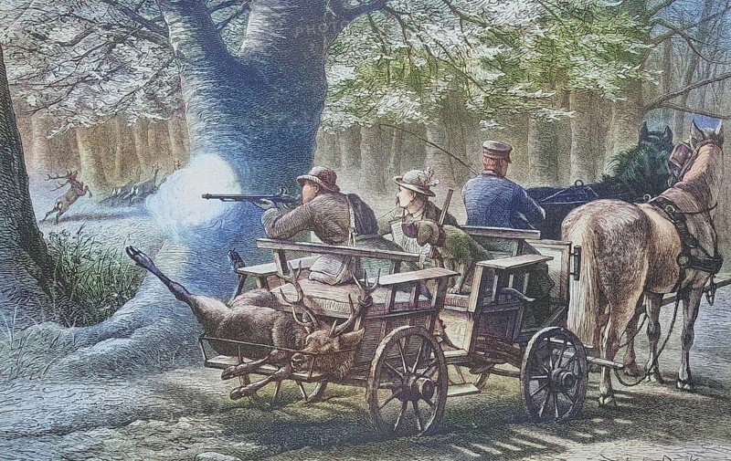 Stalking, hunting scene, hunter shoots a stag from the carriage, another shot animal is already lying on the carriage, Hunting, hunter, hunting rifle, around 1885, Historical, digitally restored reproduction from a 19th century original, Stalking, hunting scene, hunter shoots a stag from the carriage, another shot animal is already lying on the carriage, hunting, hunter, hunting rifle, around 1885, Historical, digitally restored reproduction from a 19th century original