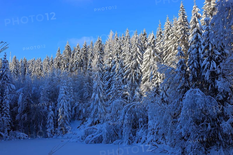 Winter landscape in the Fichtelgebirge, Bayreuth district, Upper Franconia, Bavaria, Germany, Europe