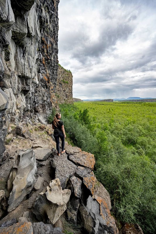 Tourist standing at the canyon, Asbyrgi Canyon, Lake Botnstjörn, lake at a cliff, Icelandic Highlands, Iceland, Europe