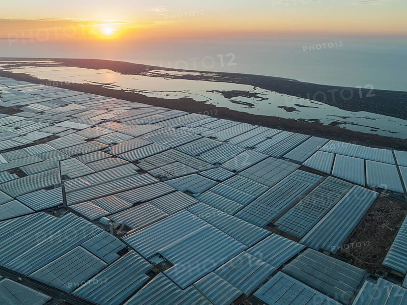 Masses of shimmering plastic greenhouses at the coast of El Ejido aside with the lagoon Salinas de Cerrillos, at sunrise, aerial view, drone shot, Almería province, Andalusia, Spain, Europe