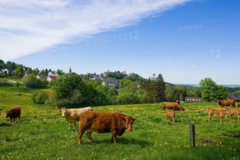Landscape near Frauenstein