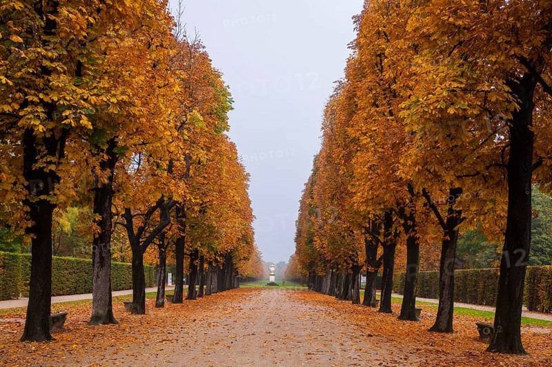 About 15 kilometres east of Dresden city centre, directly on the Elbe, lies Pillnitz Palace & Park, the most important chinoise palace complex in Europe. The extraordinary ensemble of architecture and garden art is harmoniously integrated into the river landscape of the Elbe valley in front of the vineyards
