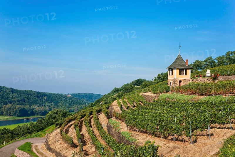 Not far from the Boselspitze, leaning towards the Elbe, is the vineyard known as the Rote Presse . The ochre-coloured vineyard cottage with its pointed roof, also known as the Swallow's Nest, is visible from afar