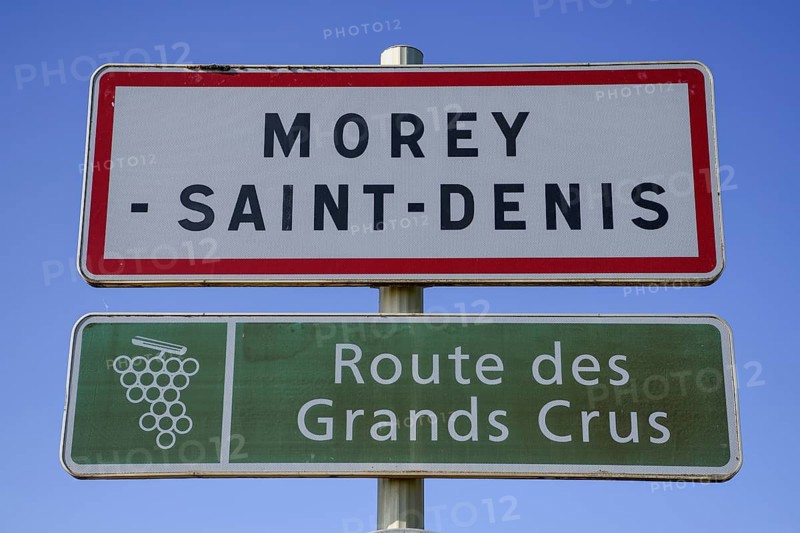 Town sign of Morey-Saint-Denis on the Route des Grand-Crus, Route of Fine Wines, Côte-dOr Department, Bourgogne-Franche-Comté, Burgundy, France, Europe