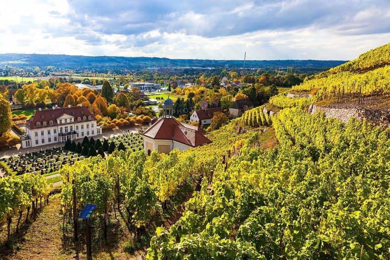 Wackerbarth Castle or Wackerbarths Ruh is a Baroque castle surrounded by vineyards in the Niederlößnitz district of Radebeul on the road to Meißen, which serves as the seat of the Saxon State Winery. The winery belongs to the Lößnitz vineyard and is located in the Radebeuler Johannisberg vineyard