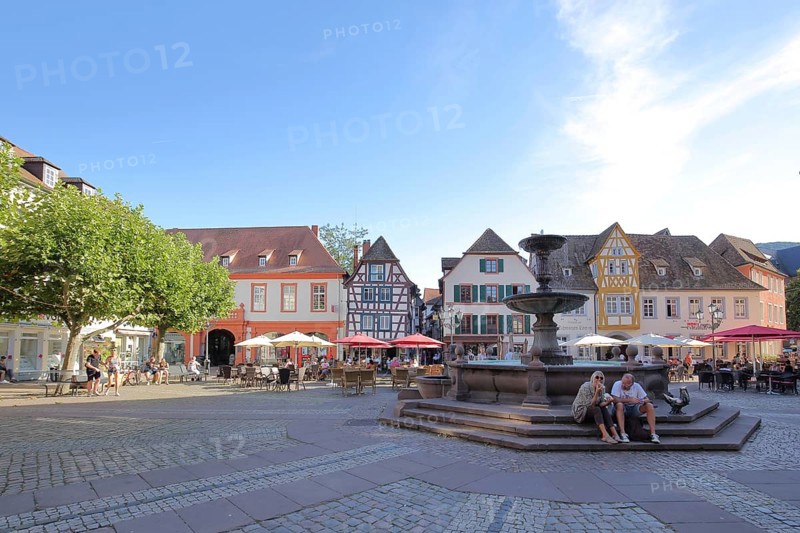 Market square with market fountain in Neustadt an der Weinstraße, Rhineland-Palatinate, Germany, Europe