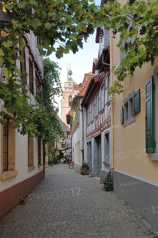 View through Metzgergasse to the collegiate church on the market square in Neustadt an der Weinstraße, Rhineland-Palatinate, Germany, Europe